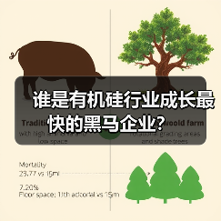 谁是有机硅行业成长最快的黑马企业?(图1) 谁是有机硅行业成长最快的黑马企业?(图1)