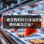 谁是有机硅行业成长最快的黑马企业?(图2) 谁是有机硅行业成长最快的黑马企业?(图2)
