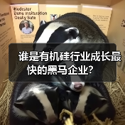 谁是有机硅行业成长最快的黑马企业?(图3) 谁是有机硅行业成长最快的黑马企业?(图3)