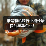 谁是有机硅行业成长最快的黑马企业?(图4) 谁是有机硅行业成长最快的黑马企业?(图4)