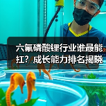 六氟磷酸锂行业谁最能扛?成长能力排名揭晓(图1) 六氟磷酸锂行业谁最能扛?成长能力排名揭晓(图1)