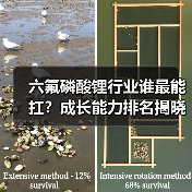 六氟磷酸锂行业谁最能扛?成长能力排名揭晓(图3) 六氟磷酸锂行业谁最能扛?成长能力排名揭晓(图3)