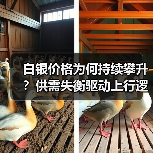 白银价格为何持续攀升?供需失衡驱动上行逻辑解析(图2) 白银价格为何持续攀升?供需失衡驱动上行逻辑解析(图2)