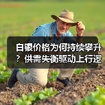 白银价格为何持续攀升?供需失衡驱动上行逻辑解析(图3) 白银价格为何持续攀升?供需失衡驱动上行逻辑解析(图3)
