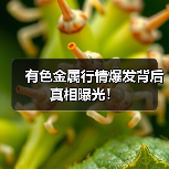 有色金属行情爆发背后真相曝光!(图2) 有色金属行情爆发背后真相曝光!(图2)