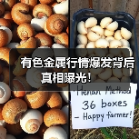 有色金属行情爆发背后真相曝光!(图3) 有色金属行情爆发背后真相曝光!(图3)
