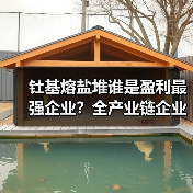 钍基熔盐堆谁是盈利最强企业?全产业链企业分析(图4) 钍基熔盐堆谁是盈利最强企业?全产业链企业分析(图4)