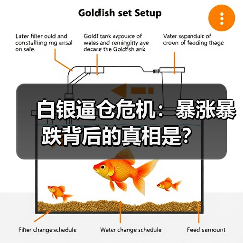 白银逼仓危机:暴涨暴跌背后的真相是?(图4) 白银逼仓危机:暴涨暴跌背后的真相是?(图4)