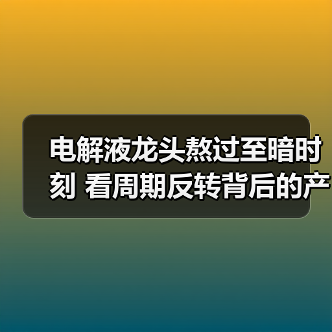 电解液龙头熬过至暗时刻 看周期反转背后的产业突围(图3) 电解液龙头熬过至暗时刻 看周期反转背后的产业突围(图3)