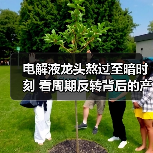 电解液龙头熬过至暗时刻 看周期反转背后的产业突围(图4) 电解液龙头熬过至暗时刻 看周期反转背后的产业突围(图4)