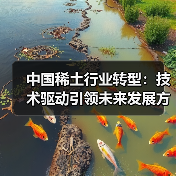 中国稀土行业转型:技术驱动引领未来发展方向(图4) 中国稀土行业转型:技术驱动引领未来发展方向(图4)