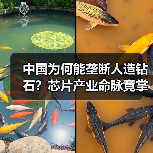 中国为何能垄断人造钻石？芯片产业命脉竟掌握在河南手中（图4）