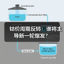 钴价周期反转:谁将主导新一轮爆发?(图2) 钴价周期反转:谁将主导新一轮爆发?(图2)