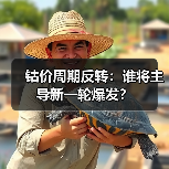 钴价周期反转:谁将主导新一轮爆发?(图3) 钴价周期反转:谁将主导新一轮爆发?(图3)