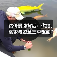 钴价暴涨背后:供给、需求与资金三重驱动?(图2) 钴价暴涨背后:供给、需求与资金三重驱动?(图2)