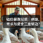钴价暴涨背后:供给、需求与资金三重驱动?(图4) 钴价暴涨背后:供给、需求与资金三重驱动?(图4)