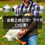 金银之后是铜?下个风口在哪?(图1) 金银之后是铜?下个风口在哪?(图1)
