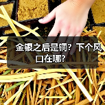 金银之后是铜?下个风口在哪?(图2) 金银之后是铜?下个风口在哪?(图2)