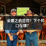 金银之后是铜?下个风口在哪?(图3) 金银之后是铜?下个风口在哪?(图3)