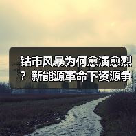 钴市风暴为何愈演愈烈?新能源革命下资源争夺战升级(图1) 钴市风暴为何愈演愈烈?新能源革命下资源争夺战升级(图1)