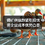 铜矿供给趋紧引担忧 中资企业成本优势凸显(图2) 铜矿供给趋紧引担忧 中资企业成本优势凸显(图2)