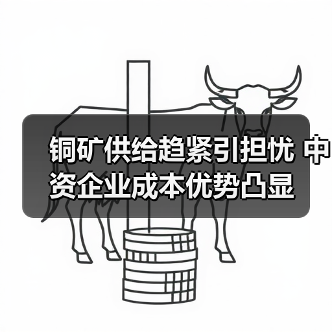 铜矿供给趋紧引担忧 中资企业成本优势凸显(图3) 铜矿供给趋紧引担忧 中资企业成本优势凸显(图3)