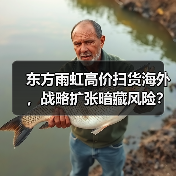 东方雨虹高价扫货海外，战略扩张暗藏风险？（图1）