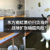 东方雨虹高价扫货海外，战略扩张暗藏风险？（图3）