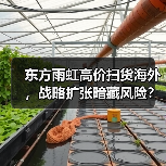 东方雨虹高价扫货海外，战略扩张暗藏风险？（图4）