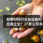 超硬材料行业谁是盈利最强企业？27家公司净利润率与ROE对比分析（图4）