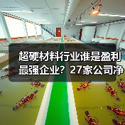 超硬材料行业谁是盈利最强企业？27家公司净利润率与ROE对比分析（图3）