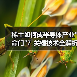 稀土如何成半导体产业