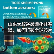 山东大叔逆袭碳化硅赛道，如何打破全球芯片垄断？（图2）
