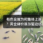有色金属为何集体上涨？黄金锑价暴涨驱动估值修复与铜铝未来潜力（图3）