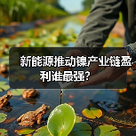 新能源推动镍产业链盈利谁最强？（图3）