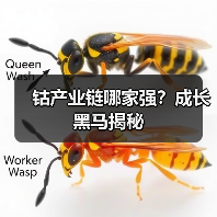 钴产业链哪家强？成长黑马揭秘（图1）