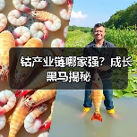 钴产业链哪家强？成长黑马揭秘（图2）