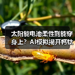 太阳能电池柔性到能穿身上？AI模拟揭开钙钛矿材料新可能（图1）