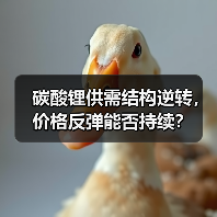 碳酸锂供需结构逆转，价格反弹能否持续？（图2）