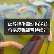碳酸锂供需结构逆转，价格反弹能否持续？（图3）