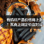有机硅产品价格将上涨？瓦克上调定价应对成本飙升（图2）