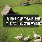 有机硅产品价格将上涨？瓦克上调定价应对成本飙升（图1）