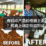 有机硅产品价格将上涨？瓦克上调定价应对成本飙升（图4）