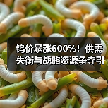 钨价暴涨600%！供需失衡与战略资源争夺引领产业链分野（图2）
