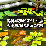 钨价暴涨600%！供需失衡与战略资源争夺引领产业链分野（图3）