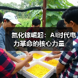 氮化镓崛起：AI时代电力革命的核心力量（图4）
