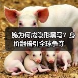 钨为何成隐形黑马？身价翻倍引全球争夺（图1）