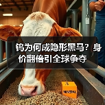 钨为何成隐形黑马？身价翻倍引全球争夺（图3）