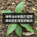锂电池材料隐形冠军：低调盈利背后的秘密（图1）