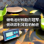 锂电池材料隐形冠军：低调盈利背后的秘密（图4）